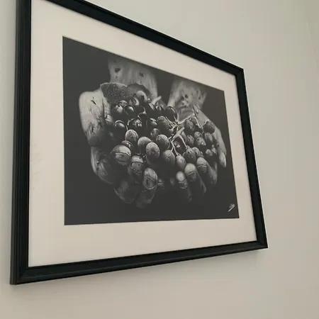 Le Divio - Homillesime *