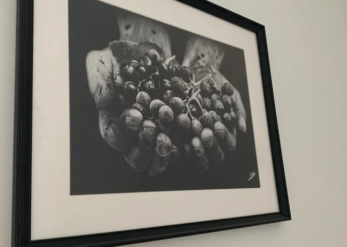 Le Divio - Homillesime *